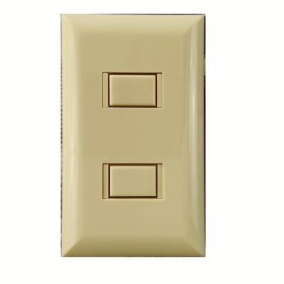 5000 Series 2 Button Ivory Wall Switch